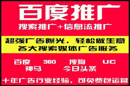 成功SEM服务案例分析报告